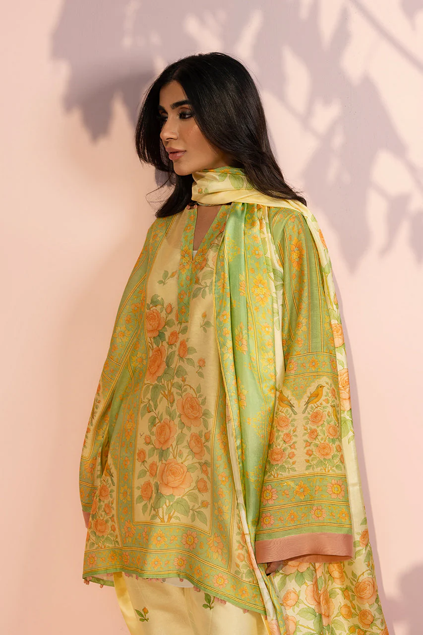 Fana (B) - Image 5