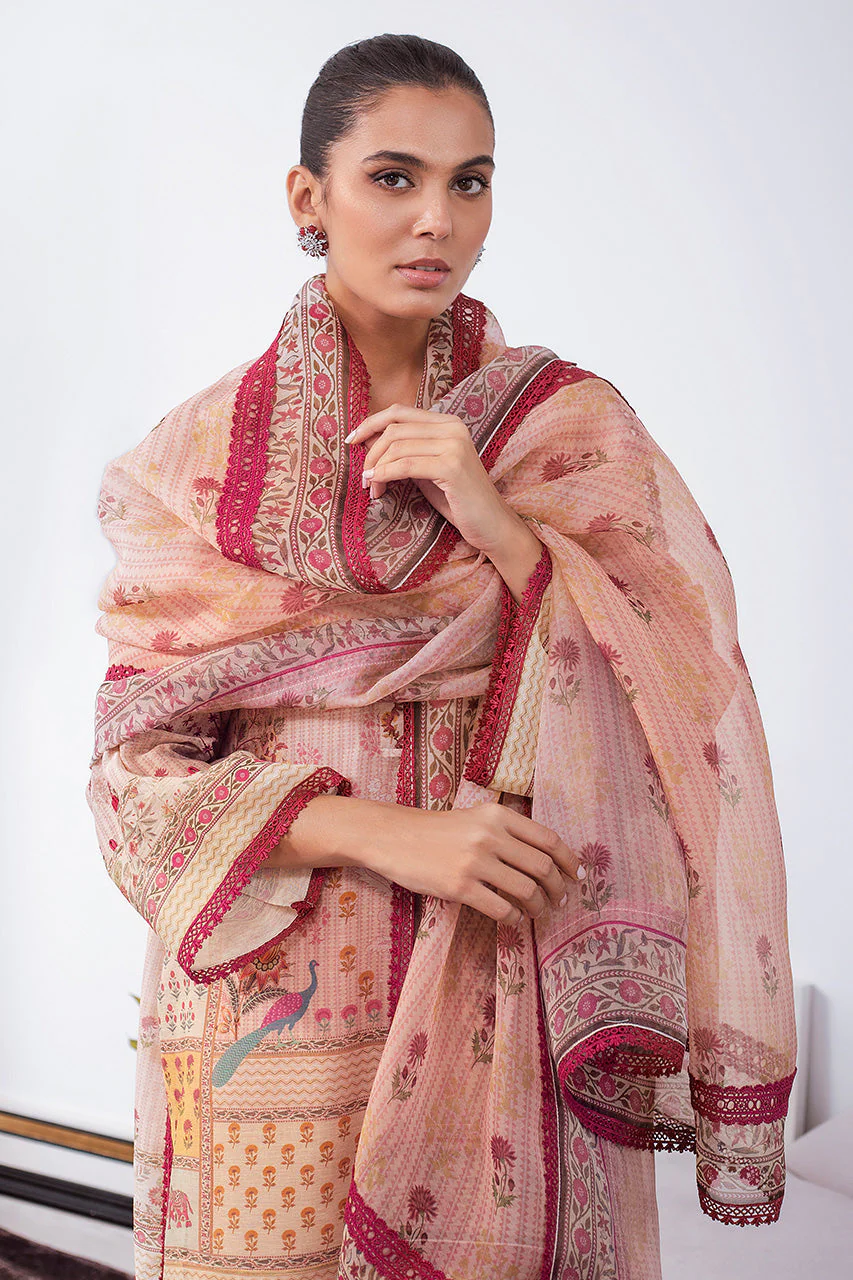 Laraib - Image 4