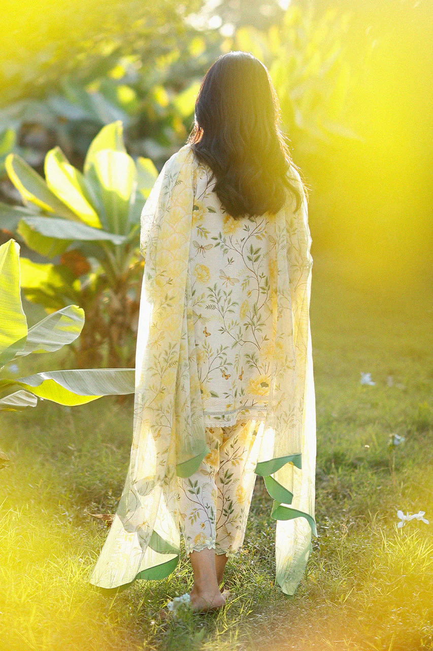 Lulu (A) - Image 4