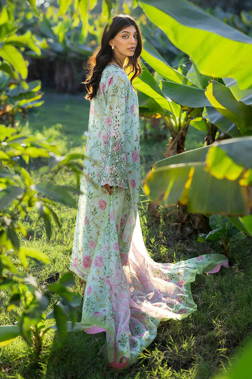 Lulu (B) - Image 7