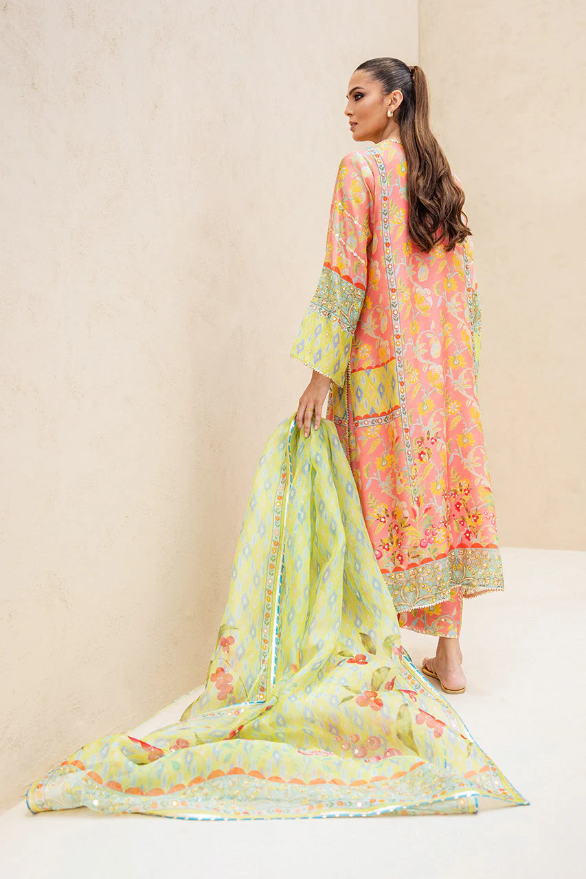 Avani - Image 3