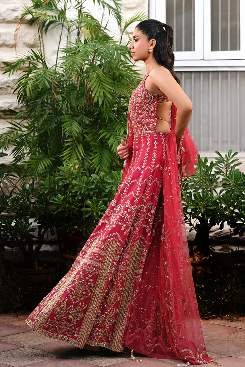 Nicia - Image 7